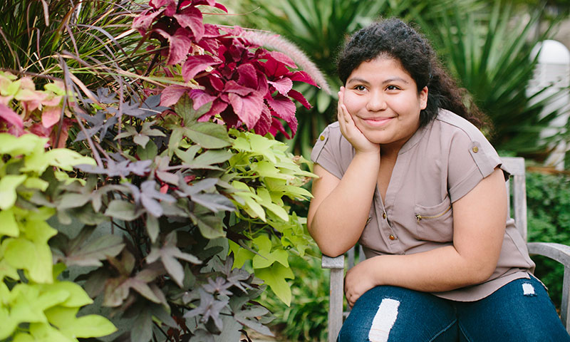 Main Content Intro Image