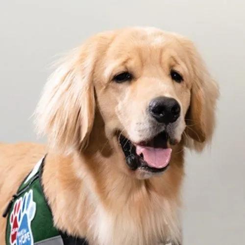 Strep throat in kids