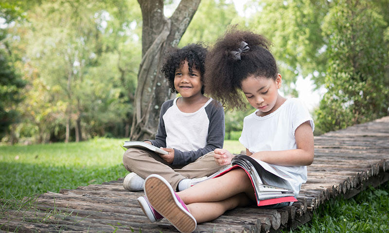 Main Content Intro Image