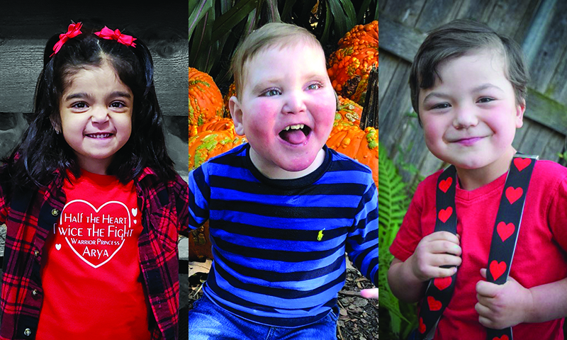 Main Content Intro Image