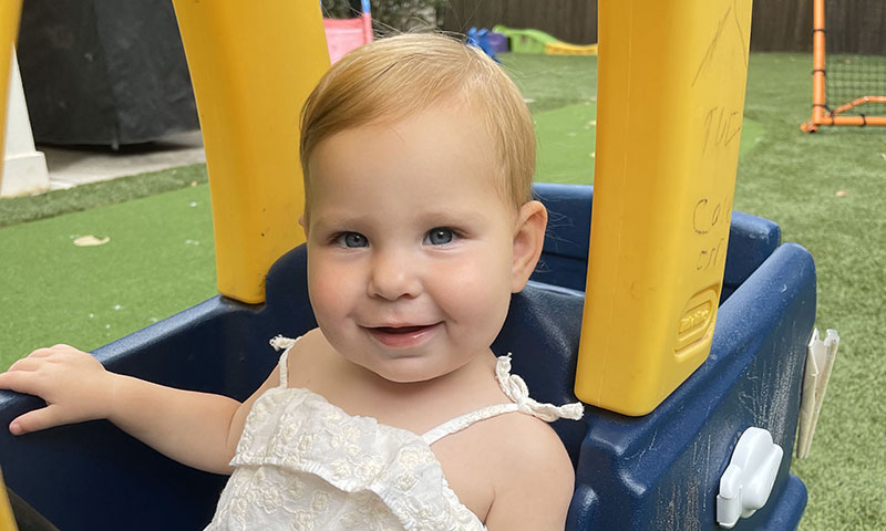 Main Content Intro Image