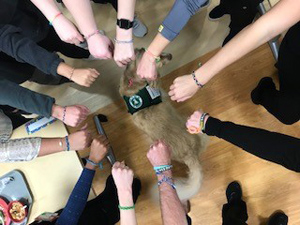 PatientStory_CarmenP_3