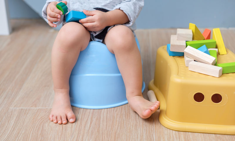 Main Content Intro Image