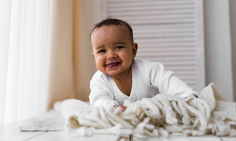 Main Content Intro Image